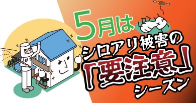 5月はシロアリ被害の「要注意」シーズンです