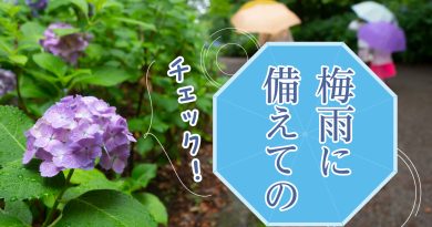 梅雨に備えてのチェック