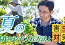 夏の植栽のお手入れ方法と害虫対策